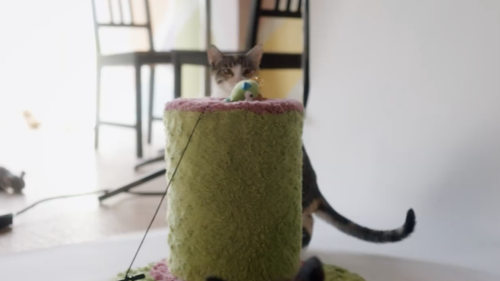 Facebook: Boost my Business