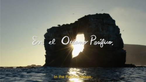 Eastern Tropical Pacific Seascape - A Celebration &amp; Call to Protect for Only One