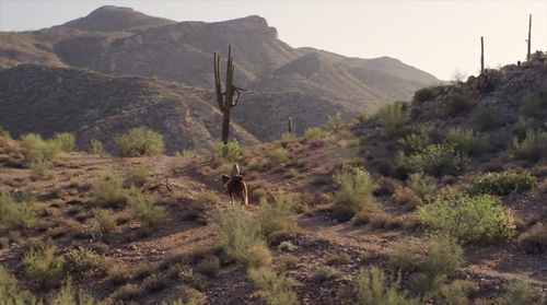 Riding Wild Teaser (In Production)