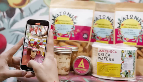 Facebook: Boost my Business with Tan France - Amazonica