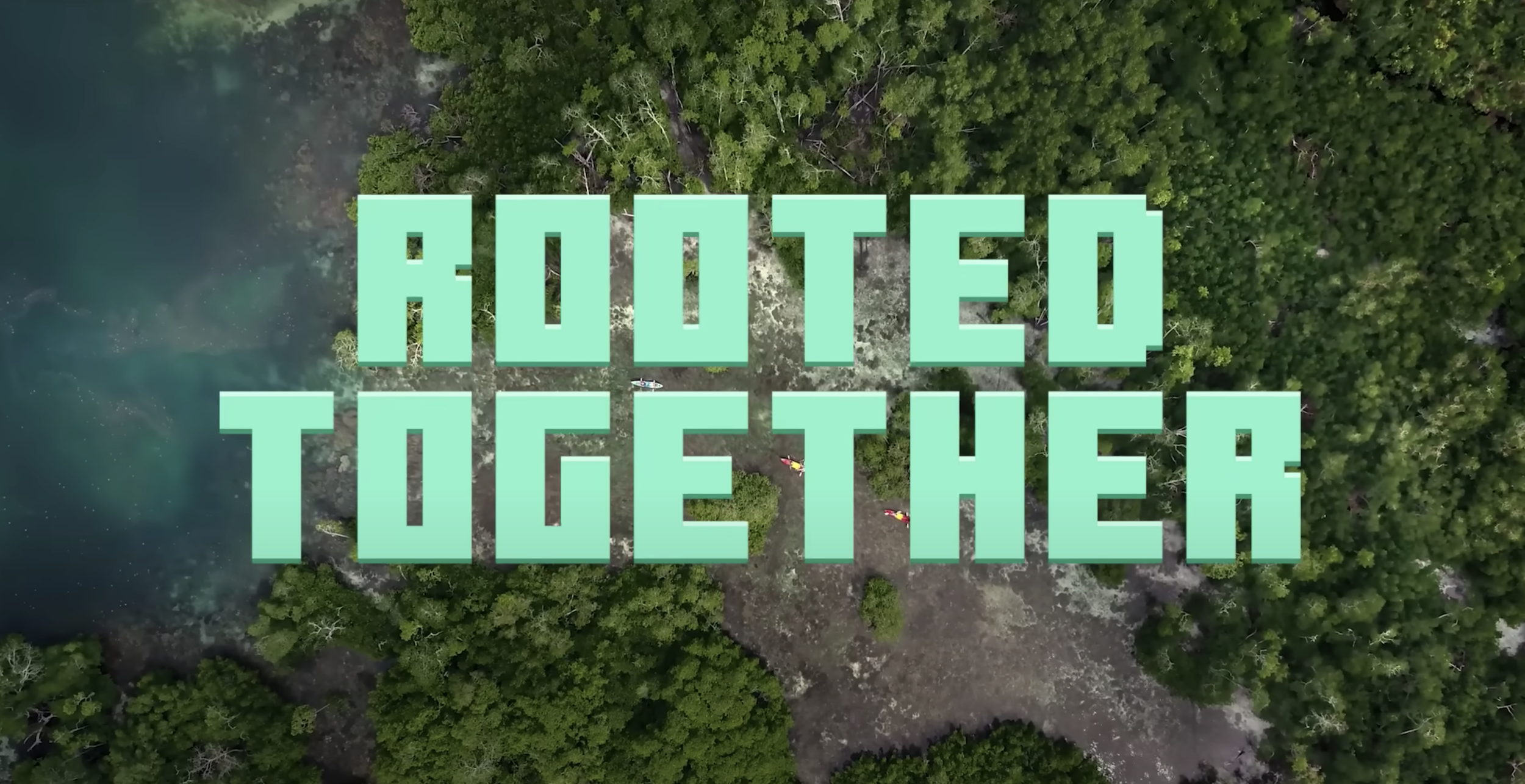 Minecraft Mangroves: Building a Better World