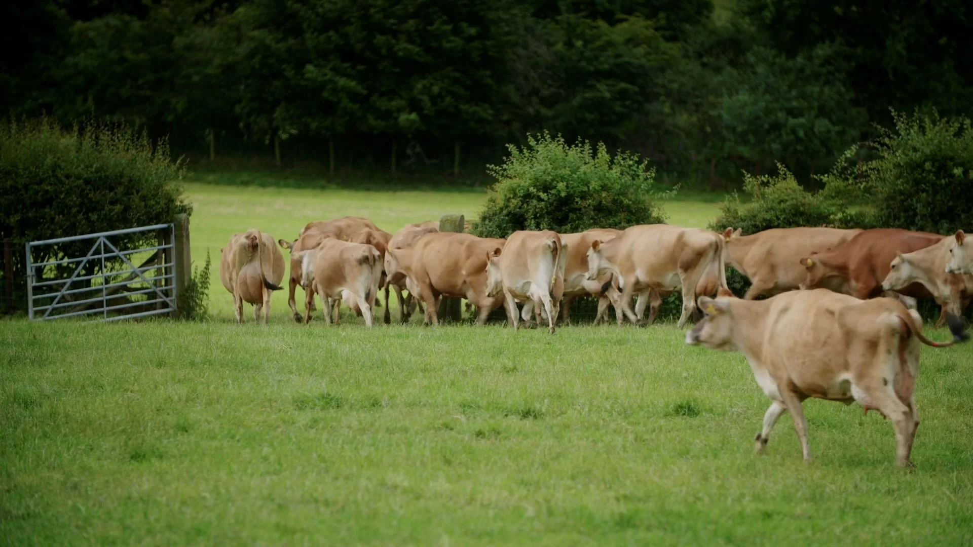 Grounded - Mitigating Methane