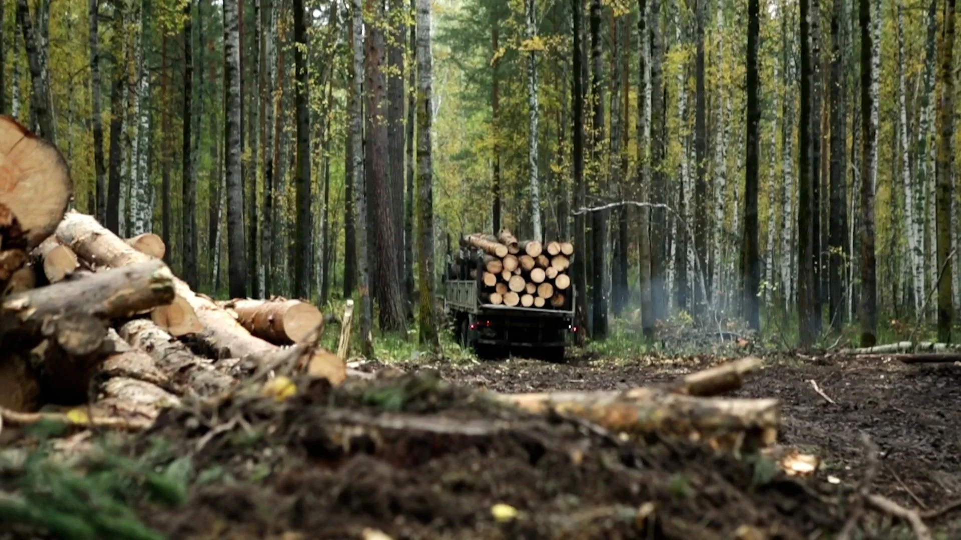 Grounded - Criminalizing Ecocide