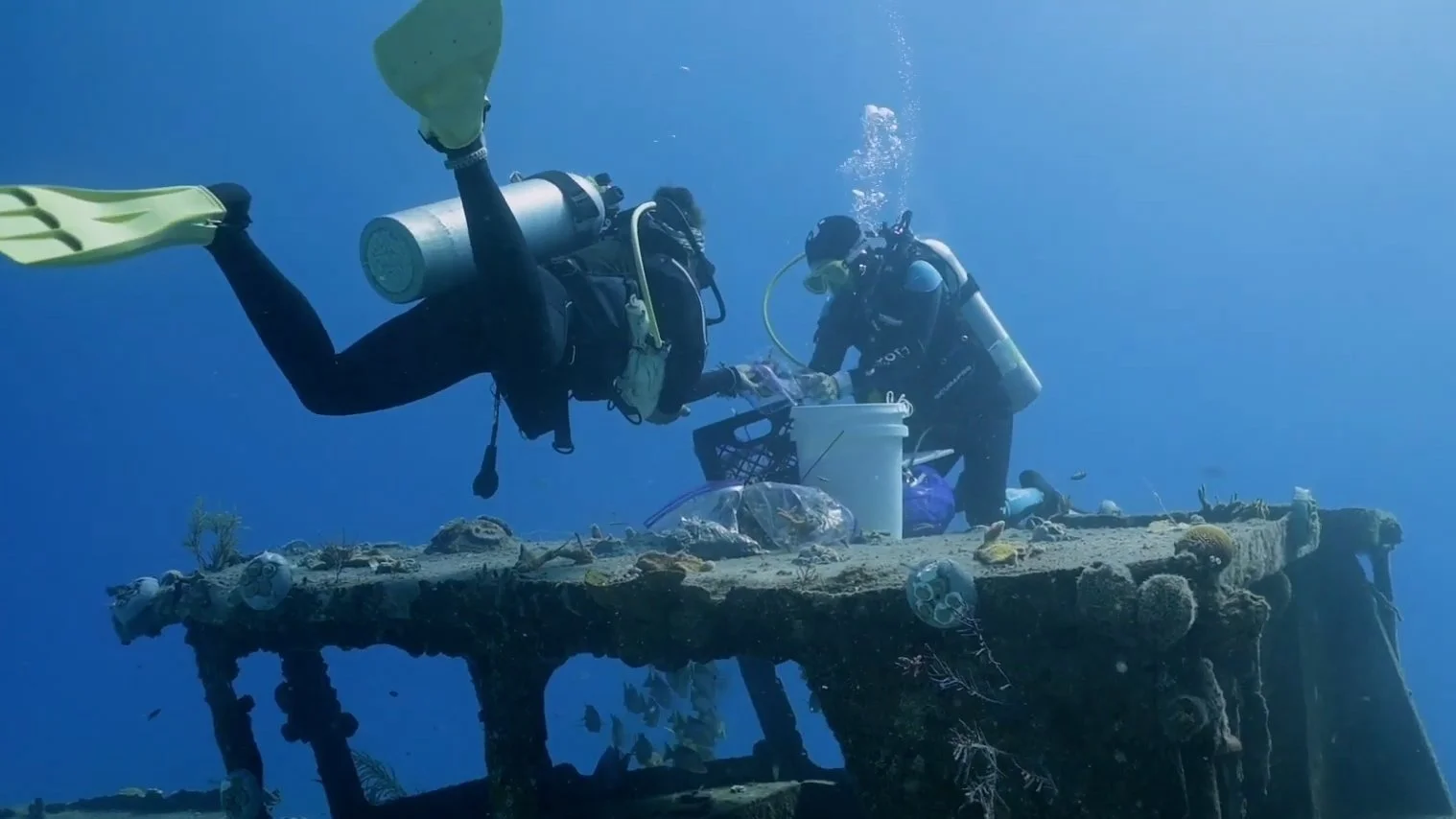 Grounded - Restoring Coral