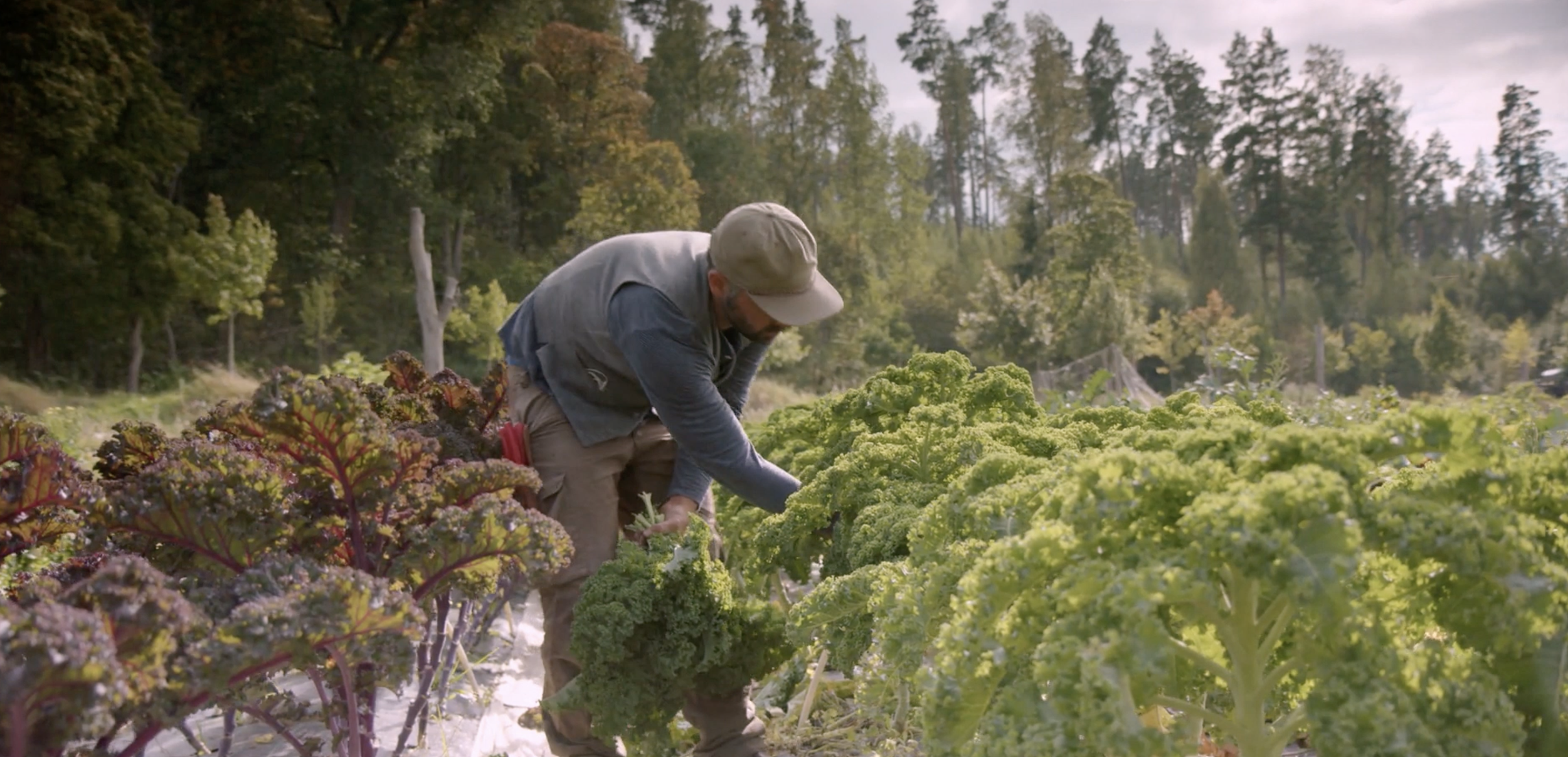 Grounded - Reframing Agriculture