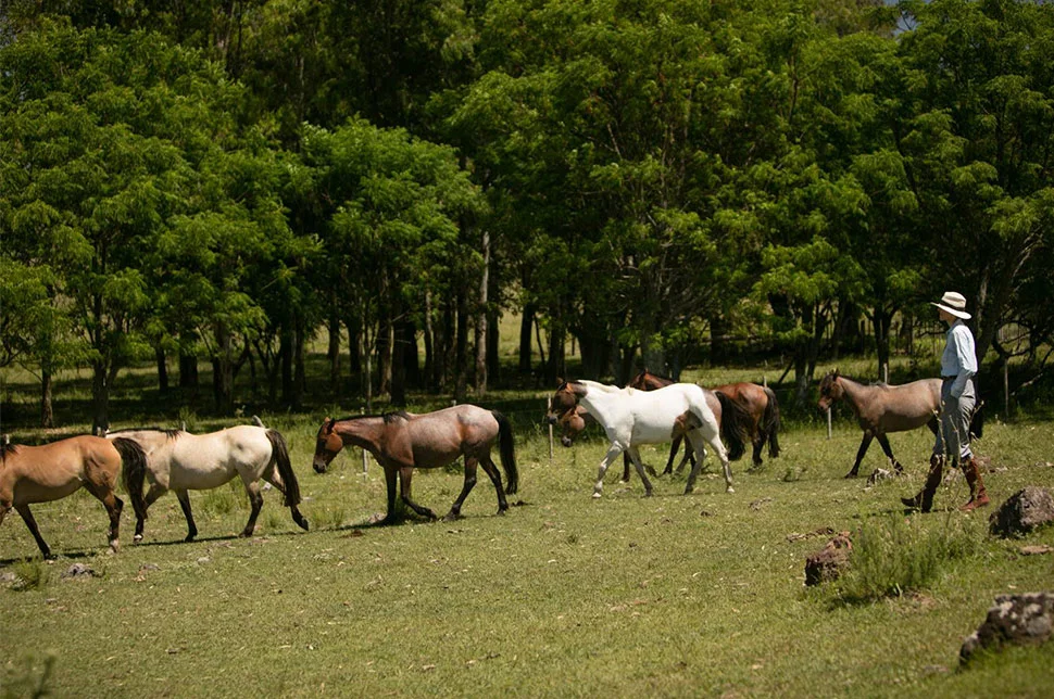 Gabriela at her family's ranch in Uruguay
