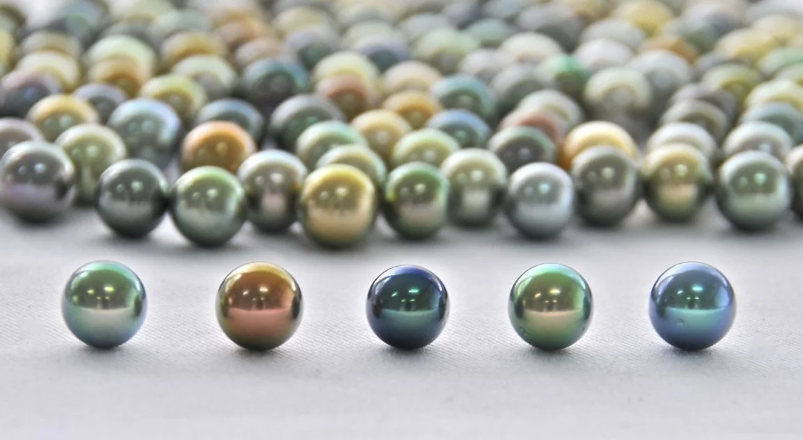 Fiji's Sustainable Pearl Pioneer