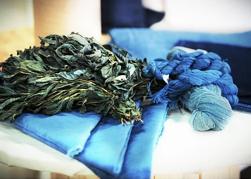 Dyeing For Fashion: The Industry's Green Innovators
