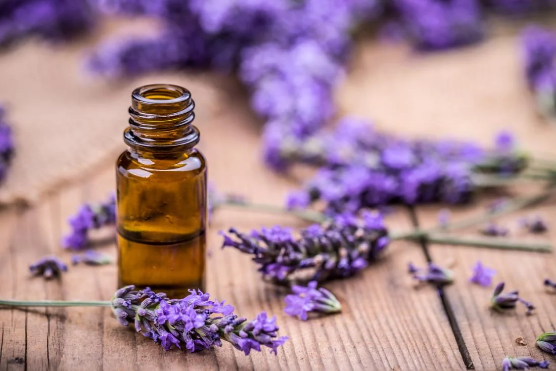 lavender-uses-oil.jpg