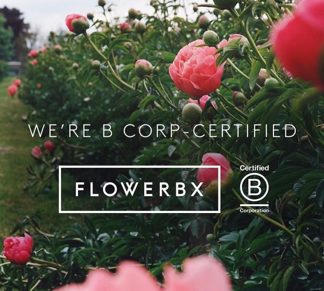 CB Portfolio Highlight 💡@theflowerbx 🌸

FLOWERBX &ndash; the online flower delivery company founded by Whitney Bromberg Hawkings in 2015, which has been part of Carmen&rsquo;s investment portfolio since 2016 &ndash; is now a certified B Corp busine