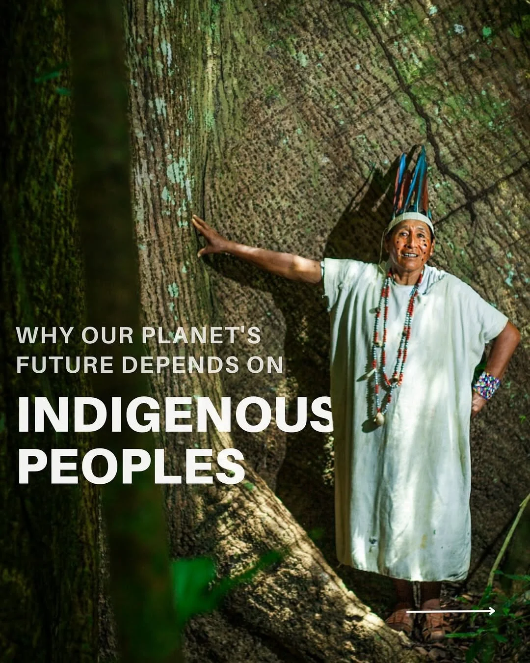 When we protect Indigenous peoples, we protect our shared future &ndash; one rooted in respect, harmony and connection to the Earth. 

Despite making up less than 5% of the world&rsquo;s population, their work impacts 80% of the planet&rsquo;s biodiv
