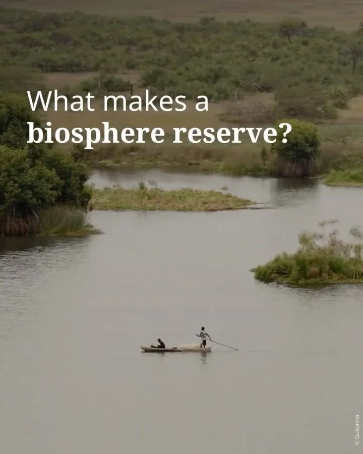 Today it is the International Day for Biosphere Reserves.

Designated by @unesco, biosphere reserves bring together local communities and conservation efforts, encouraging green economies, sustainable innovation and respect for nature. 

They are a g