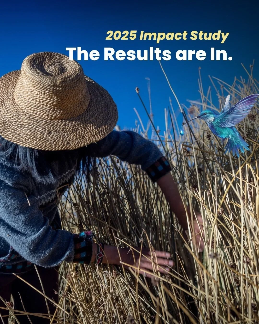 Daughters for Earth&rsquo;s first Impact Study shows that women-led initiatives achieve outstanding environmental outcomes when they receive the right kind of support. 

The findings outline the results achieved by 24 organisations from 11 countries 