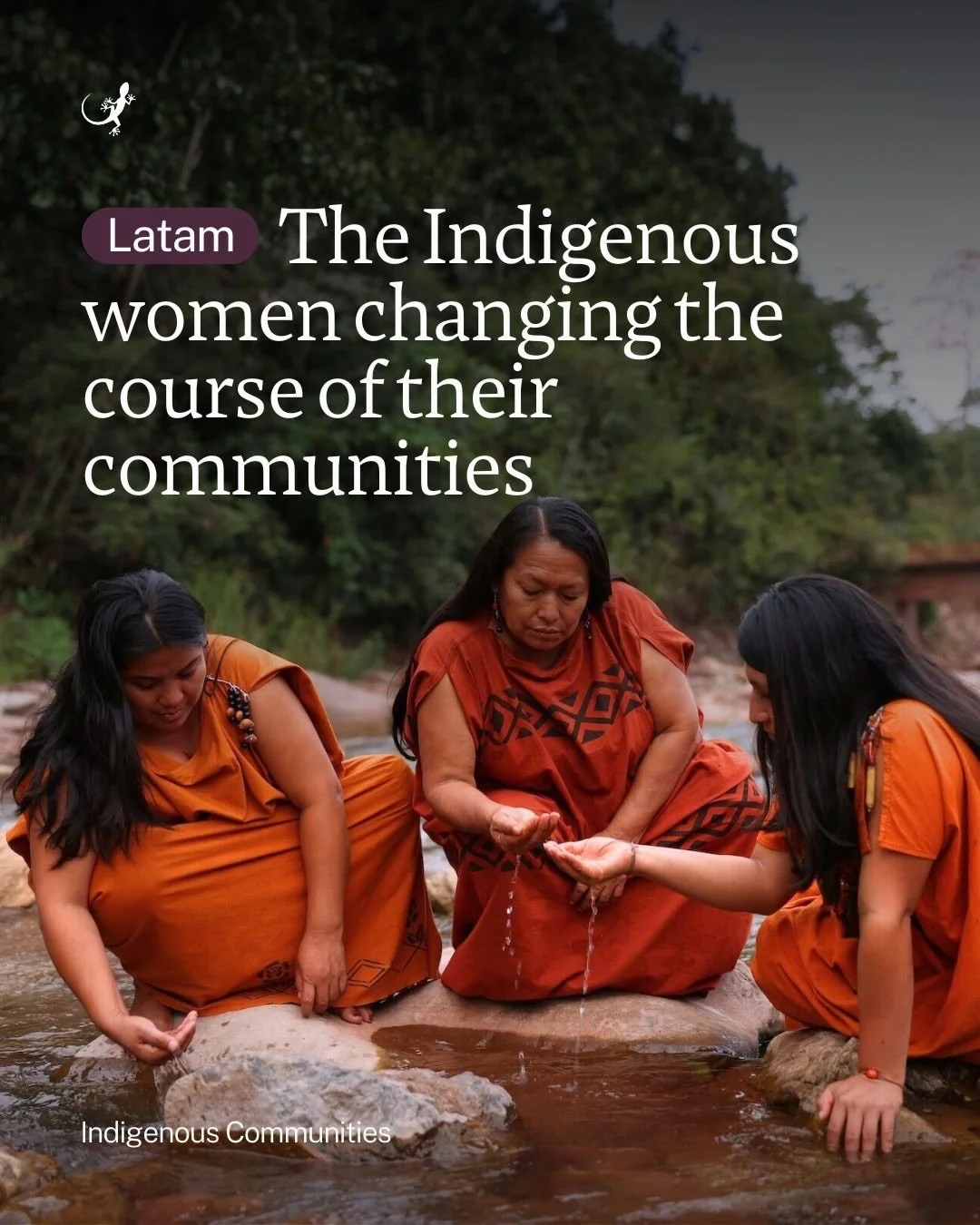 &ldquo;Our fight is collective and our resistance is ancestral. Let&rsquo;s continue sowing resistance, sowing identity.&rdquo; &ndash; Ketty Marcelo

Ketty Marcelo is the president of the National Organization of Indigenous Andean and Amazonian Wome