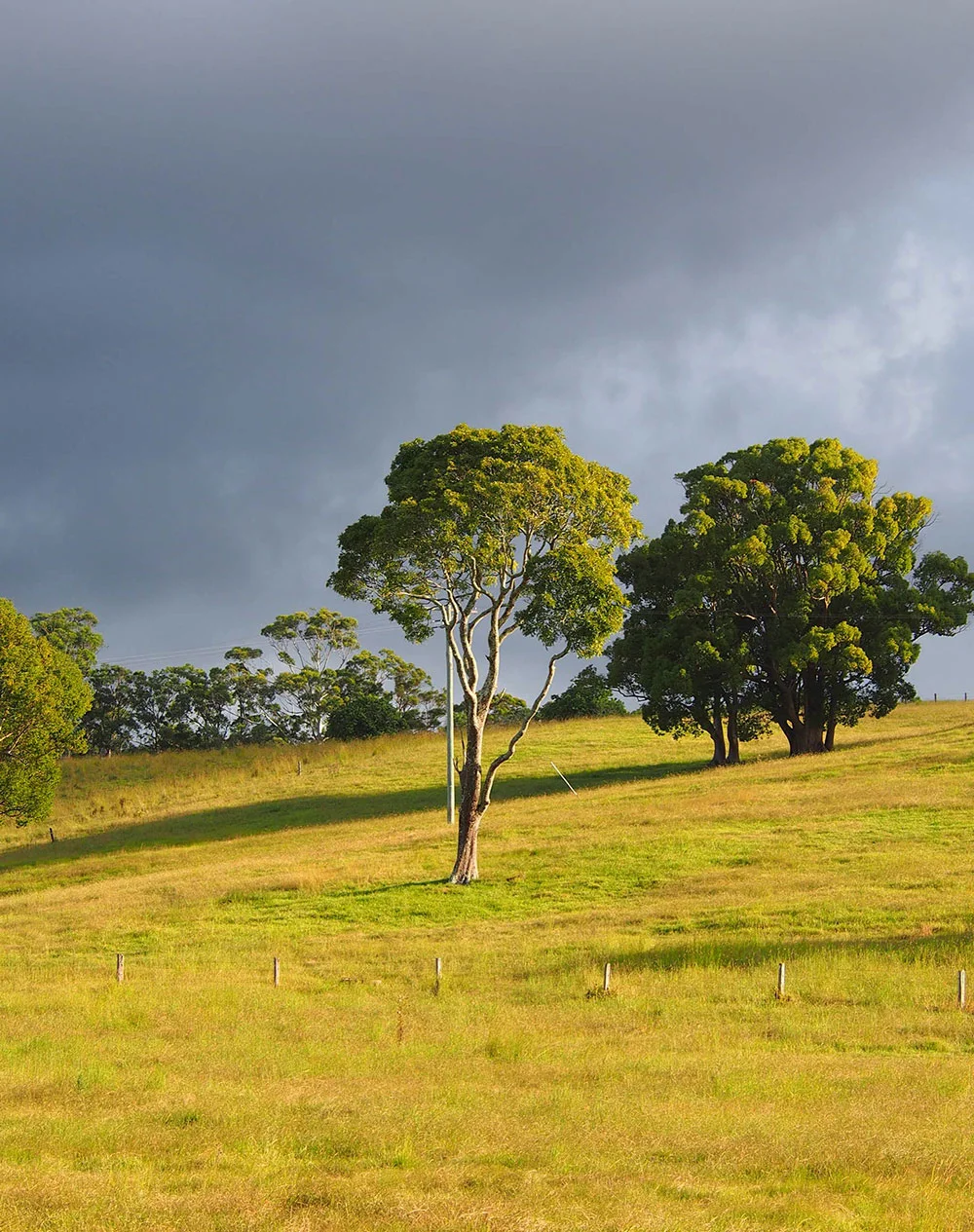 Landscape_03.jpg