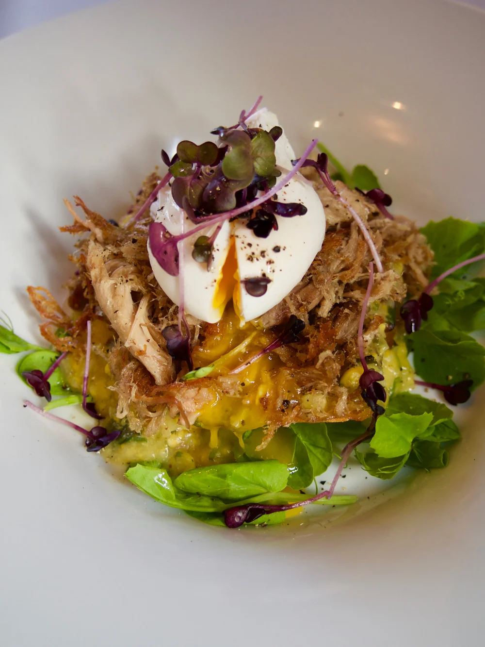 eggs_Plate.jpg
