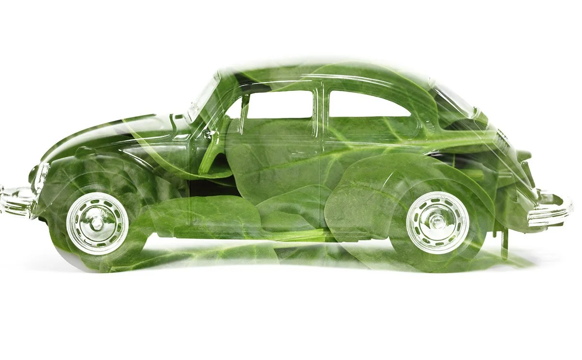 The Real Sustainables- 