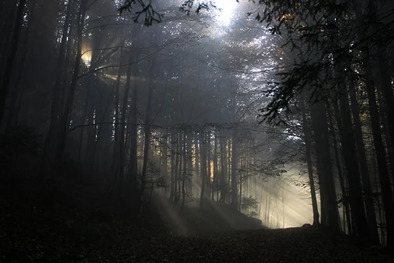 Walkin through the valley with victory on my mind! 