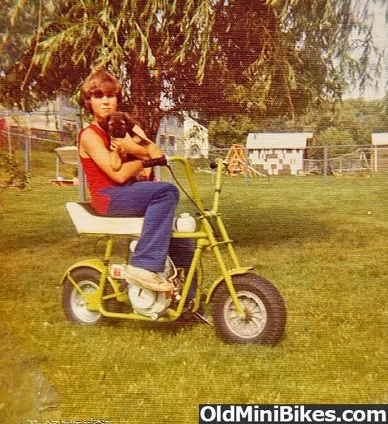 WHAT A RIDE...UNTIL YOU CRASH!