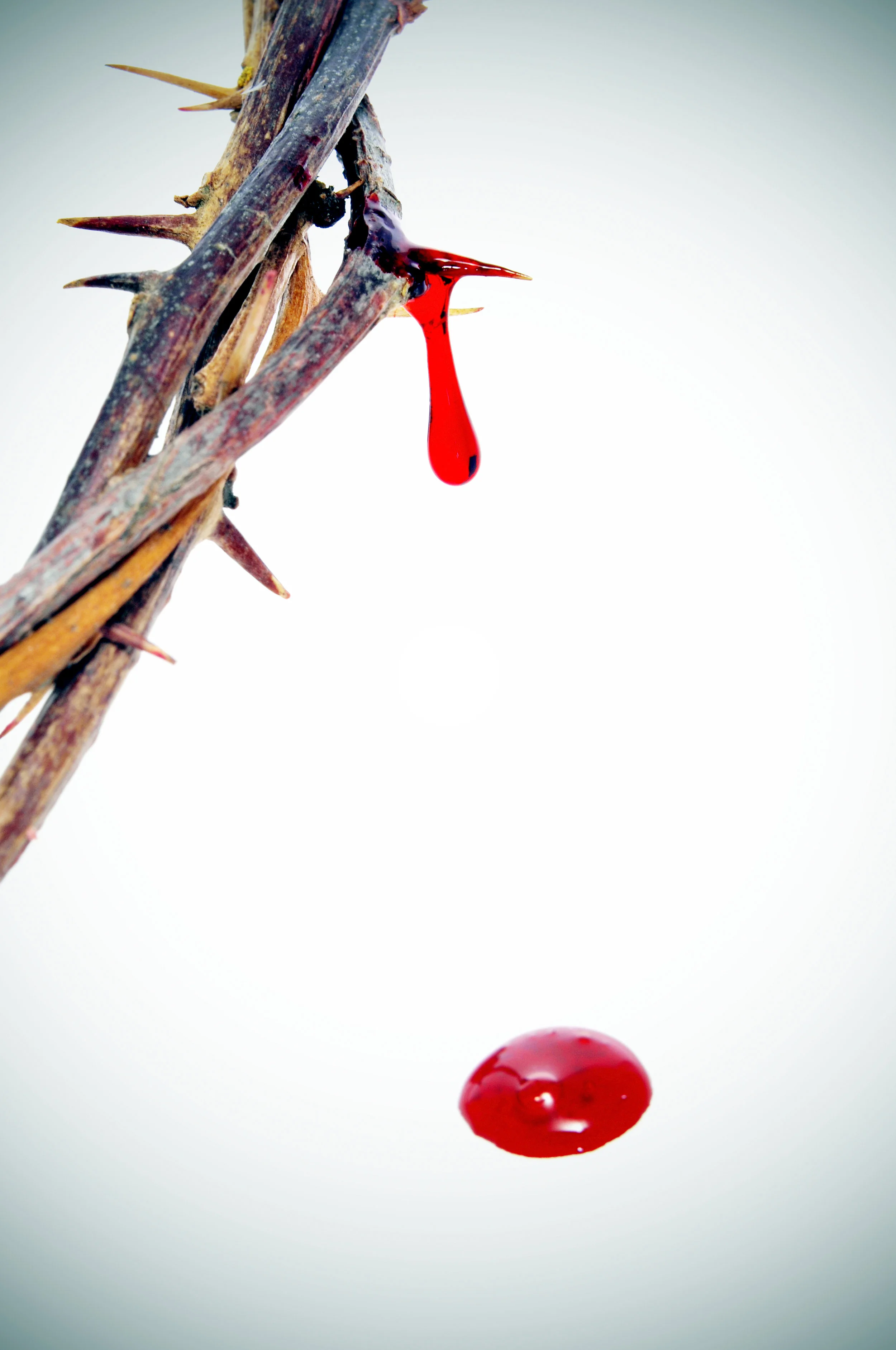 NOTHING BUT THE BLOOD