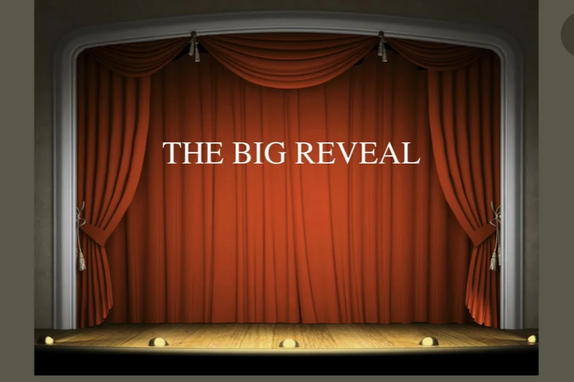THE BIG REVEAL