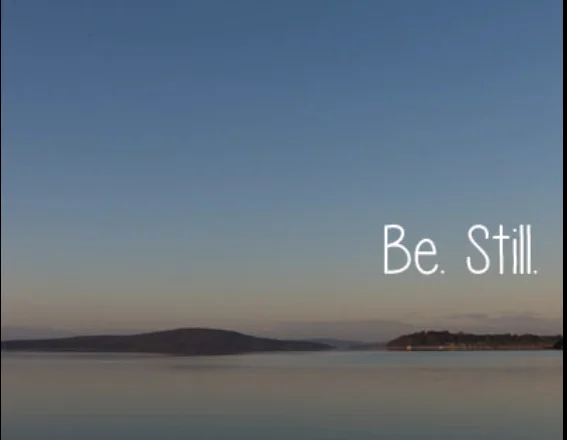 WHAT TO DO, WHAT TO DO