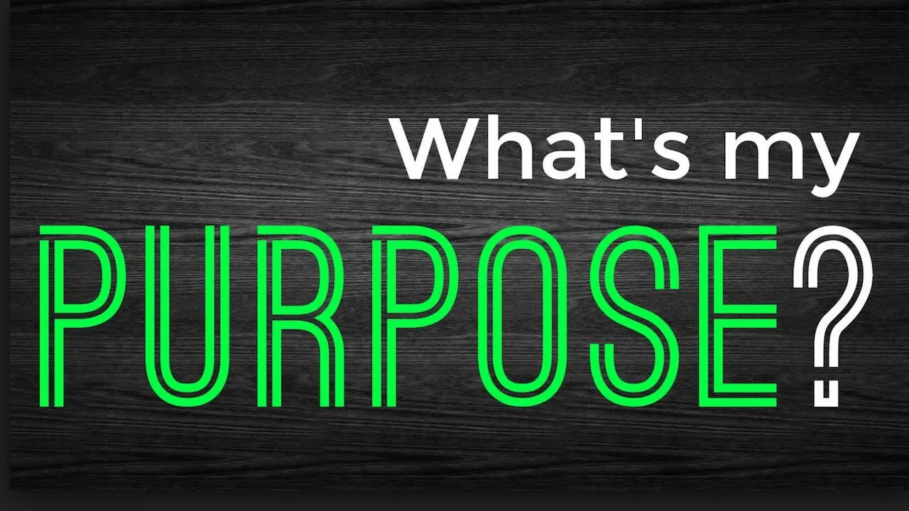 WHAT’S MY PURPOSE? &nbsp;