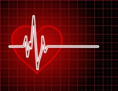     GOD’S HEARTBEAT      &nbsp;