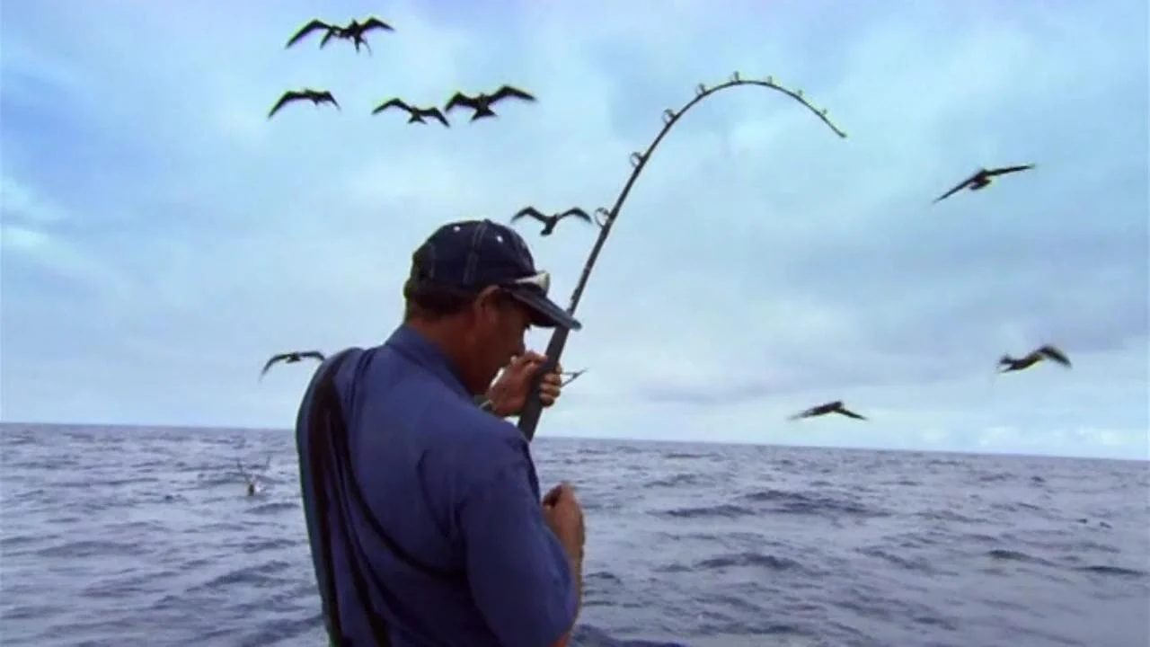    GONE FISHING      &nbsp;      &nbsp;&nbsp;&nbsp;&nbsp;&nbsp;&nbsp;&nbsp;&nbsp;&nbsp;&nbsp;&nbsp; 