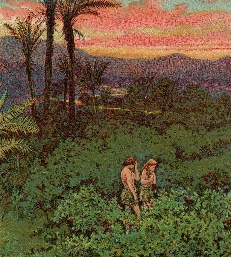        MAN’S FOLLY