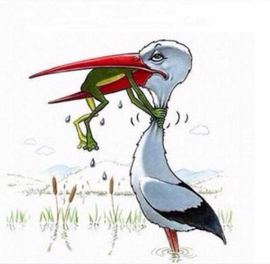 DON’T GIVE UP