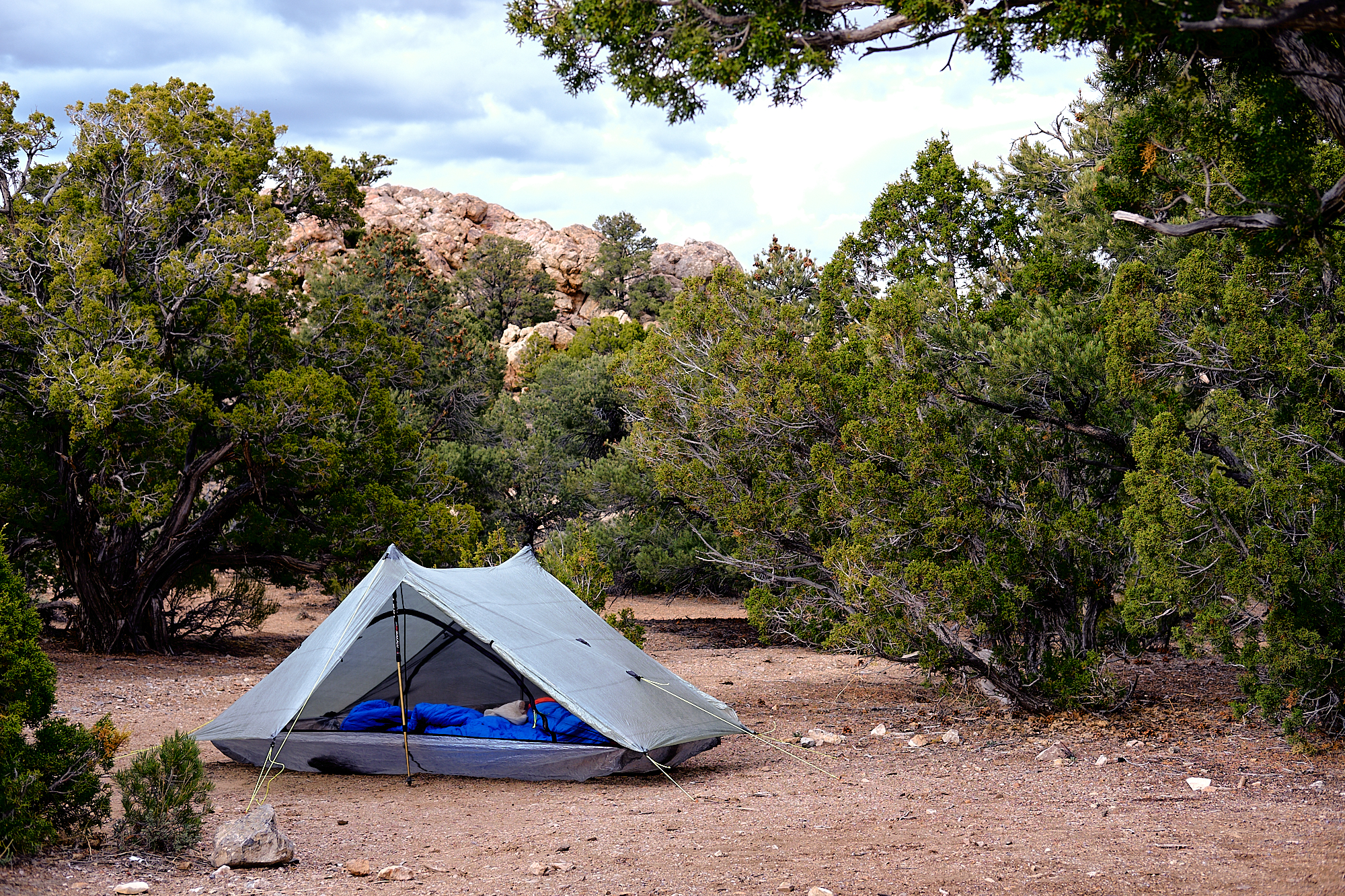Pitched camp down in the Pinyon/ Juniper zone at the base of the South Snake Range. | Great Basin National Park, NV 5/18/18