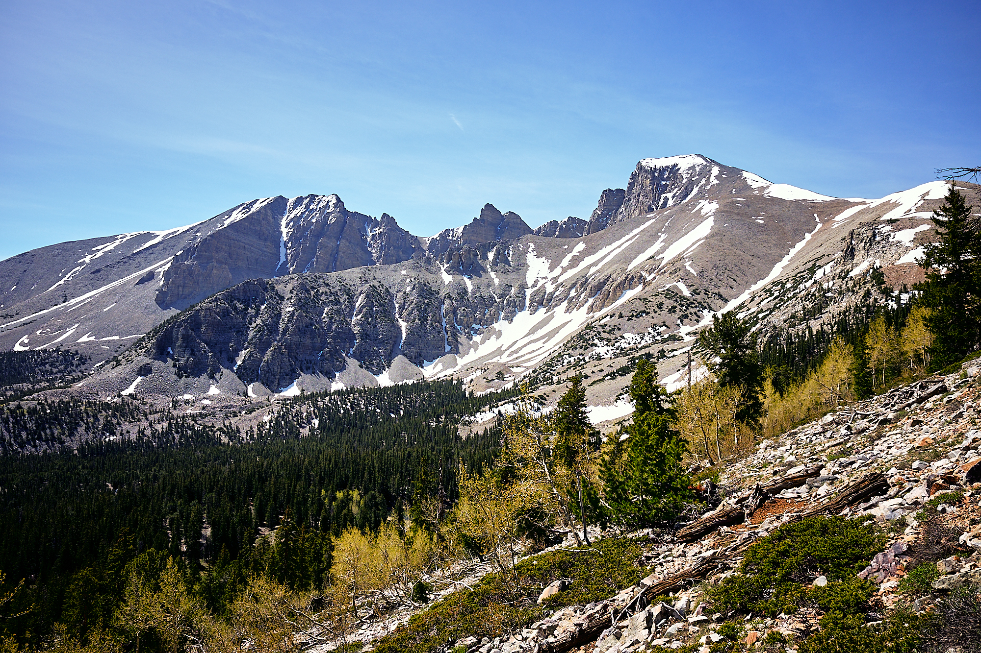  Just above treeline, Wheeler peak and its cirque erupt into the sky. Wheeler peak stands at 13,065 feet, the second highest point in the state. | Great Basin National Park, NV 6/10/18 