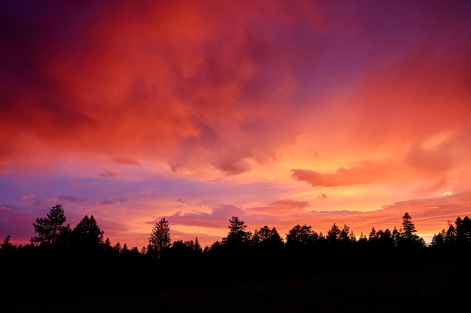 Fire in the sky. | Ochoco National Forest, OR 7/17/18