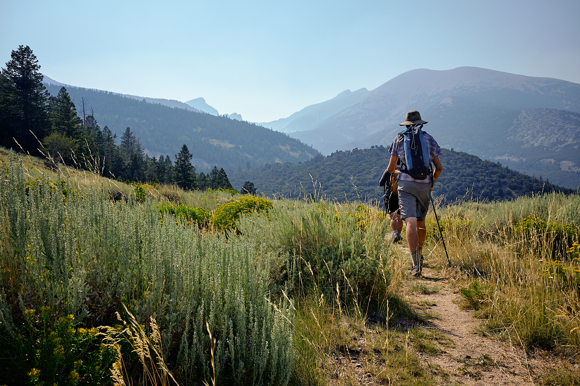  Heading back to camp after a wonderful bushwacking excursion. | Great Basin National Park, NV 8/5/18 