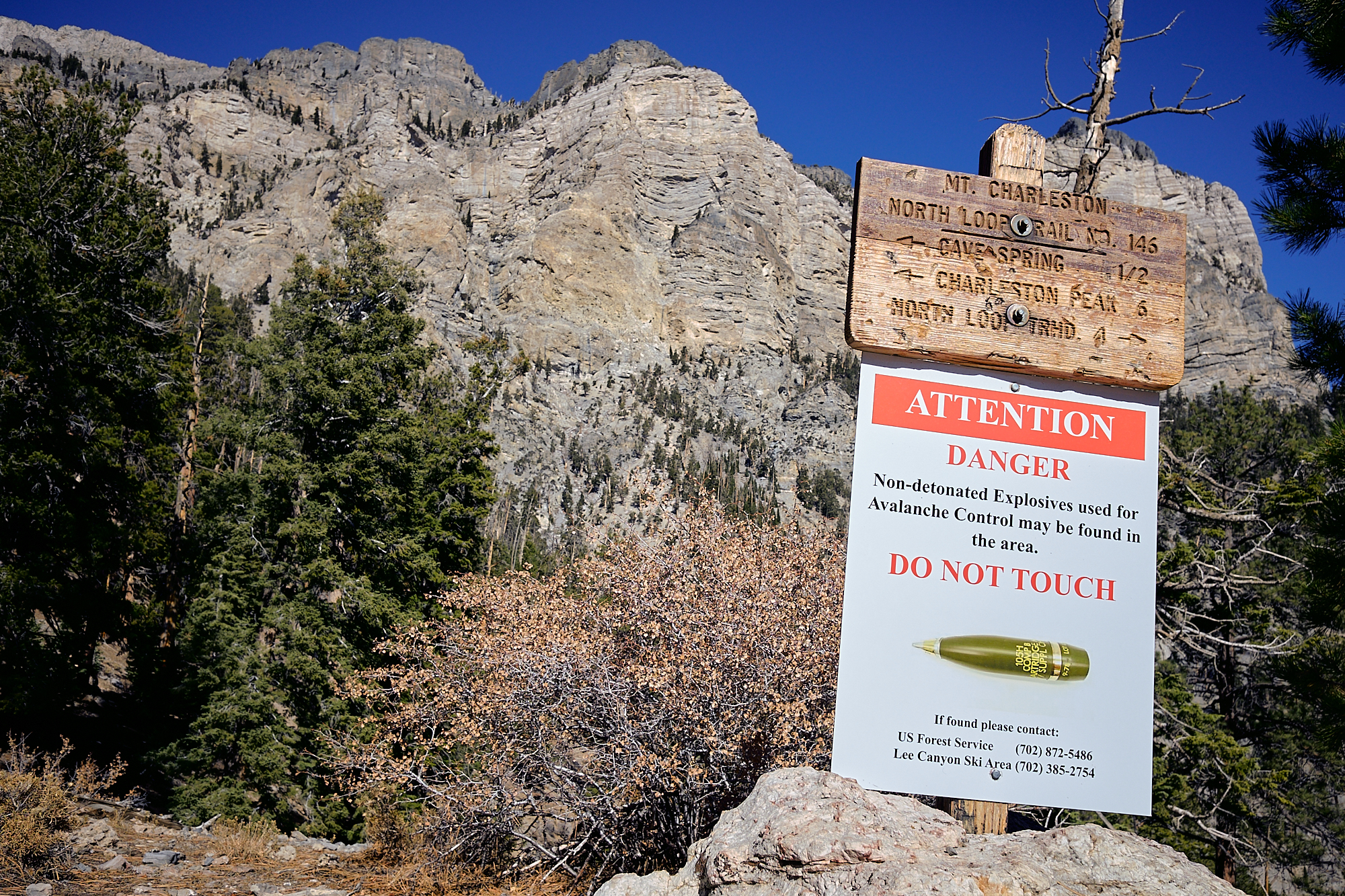  On a hike with my friend Althea we stumbled upon a trail intersection with a sign warning of explosives which have been placed to manage avalanches. | Mt. Charelston, NV 11/9/18 