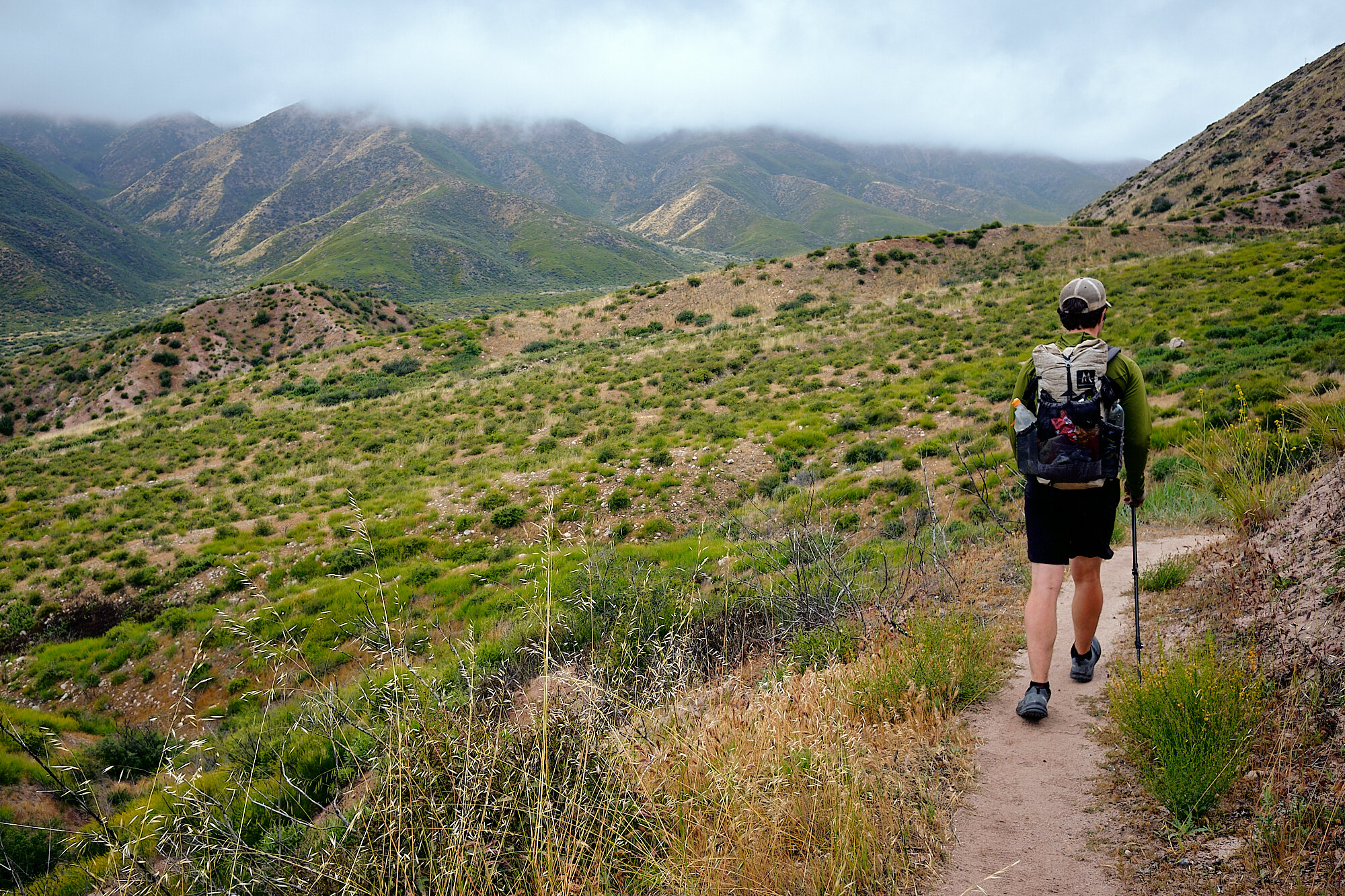  Lancelot on the approach to Mt. Baldy. Luckily the clouds lifted by the time the trail had a clear view of the summit. | 5/27/19 Mile 346.0, 3,568' 