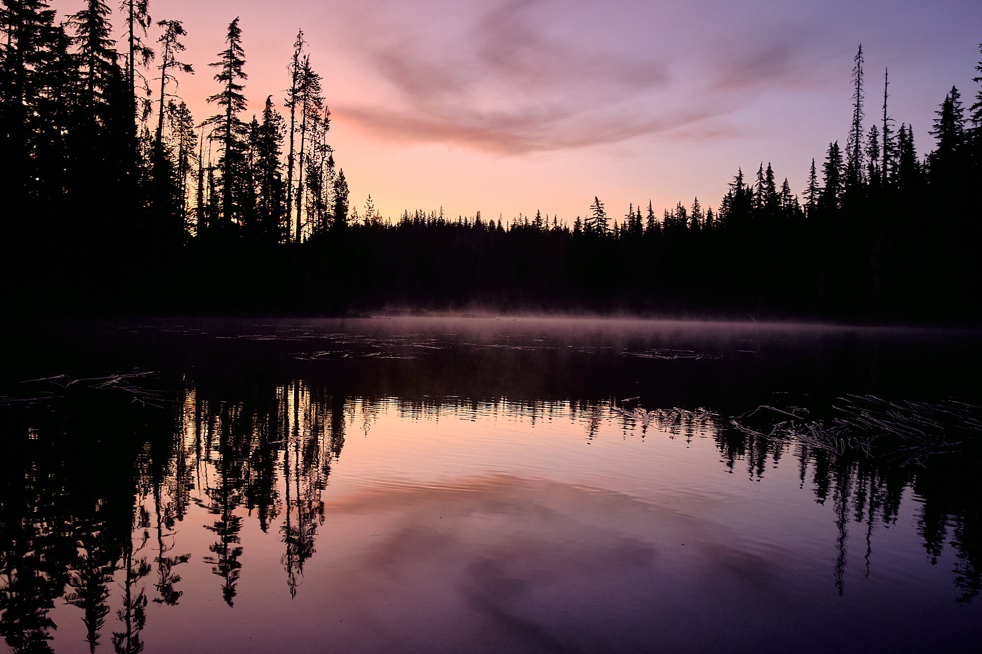  Sunrise over Desane Lake in Three Sisters Wilderness. | 9/3/19 Mile 1,941.6, 5,275' 