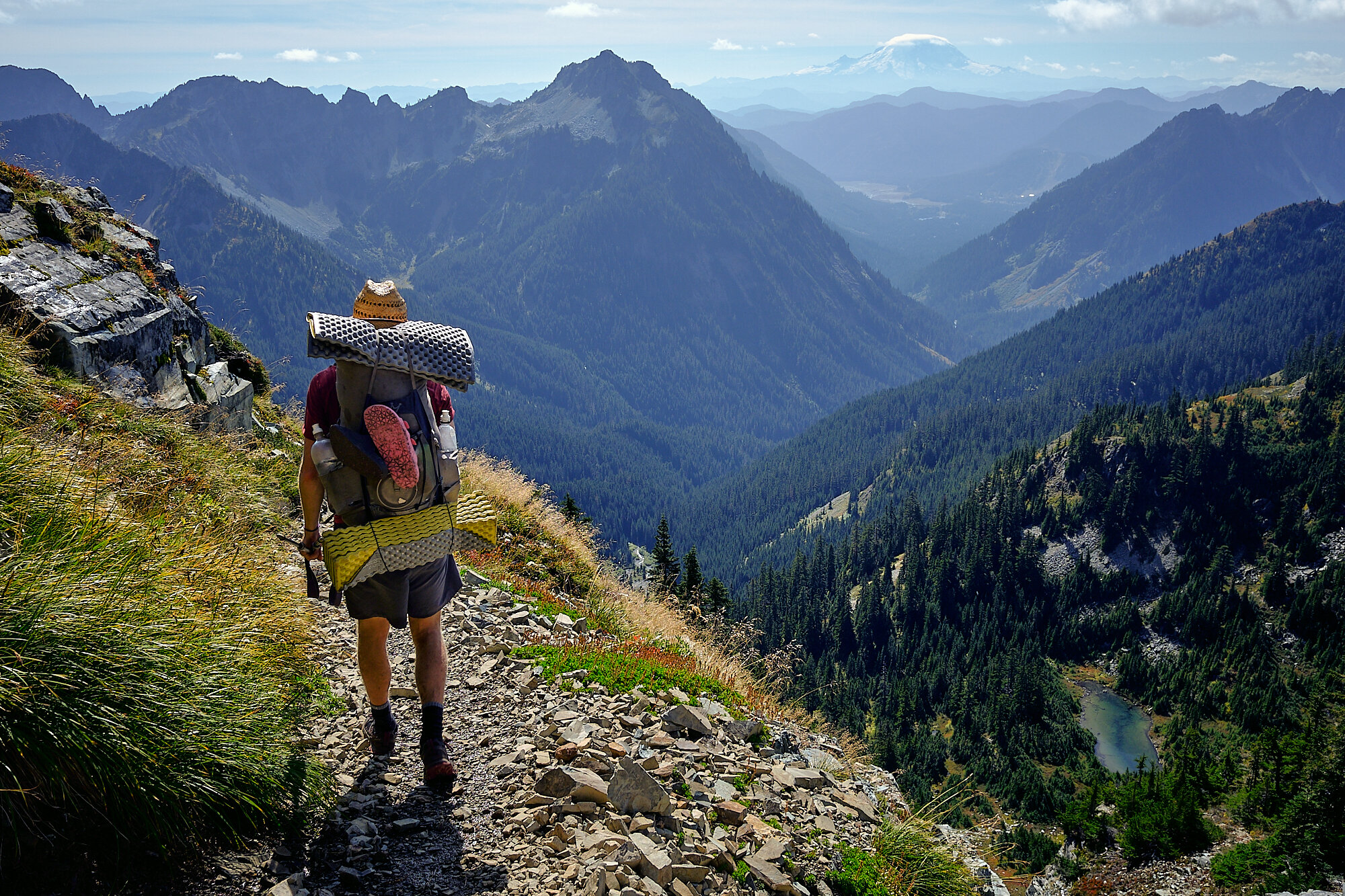  Lebowski on a ridgewalk above Snoqualmie Pass. Mt. Rainier is visible in the background. | 9/25/19 Mile 2,404.5 5,550' 