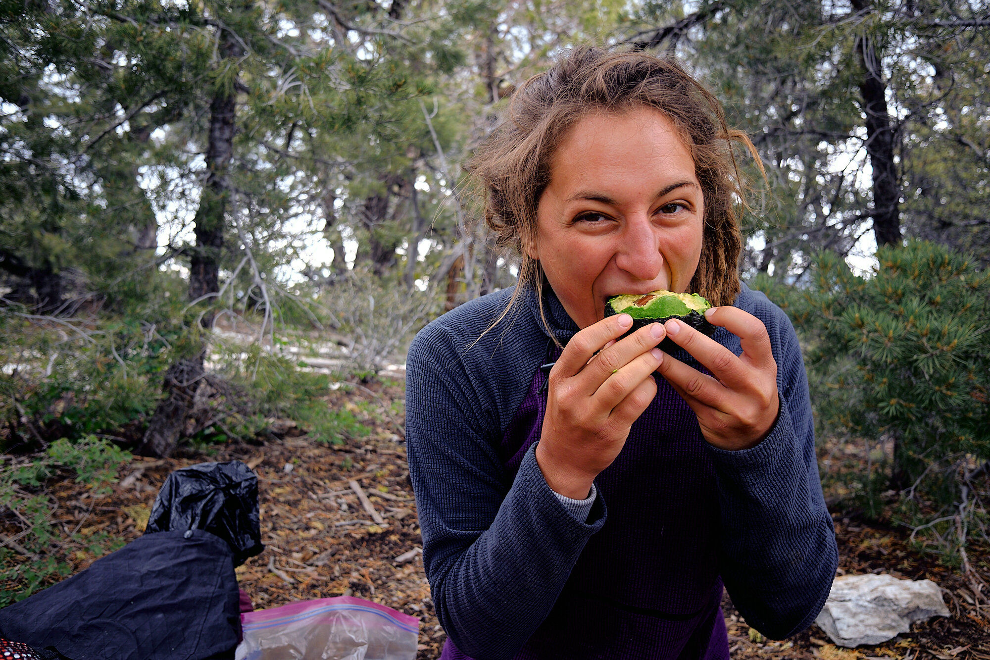  Fiddlehead gnaws on an avocado, a trail luxury. | 5/24/19 Mile 275.6, 7,264' 