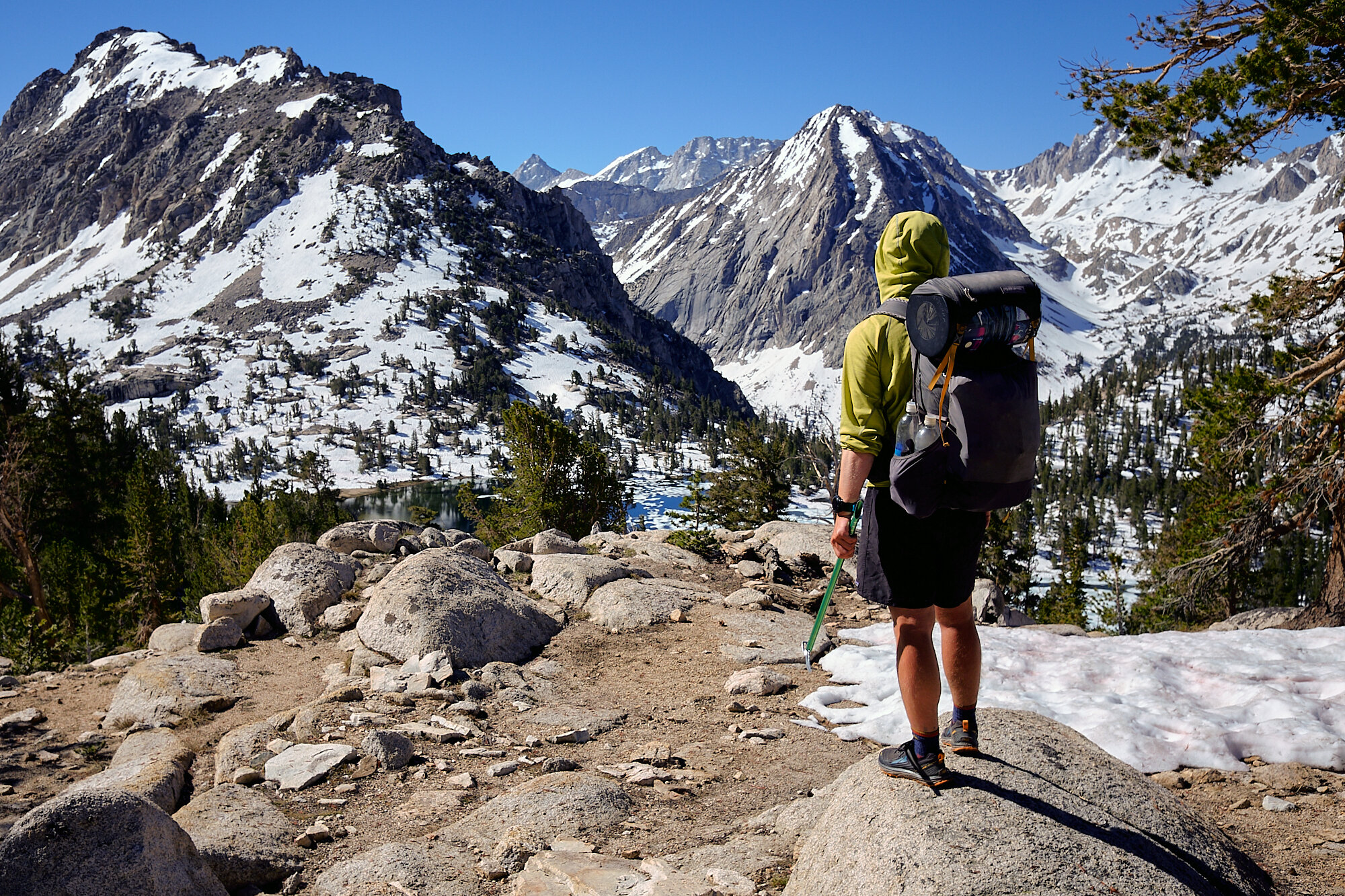  Blankie gazes at the majesty of the unseasonably snowy Sierra Nevada from the approach to Kearsarge Pass. | 6/28/19 Mile 788.9, 11,070' 