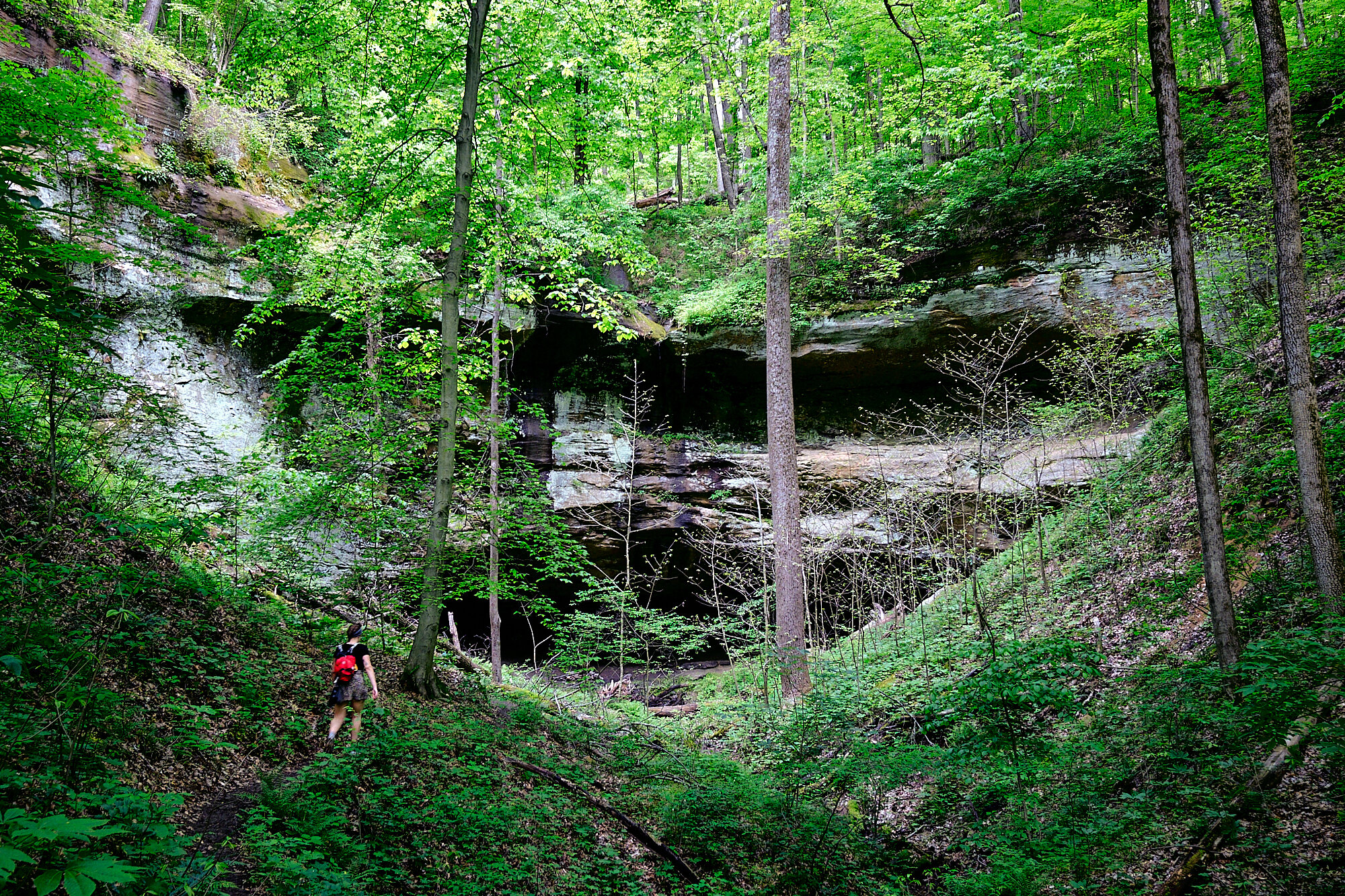  Turtlehead Cave, one of thousands of rockhouses in the sandstone hills of the Ohio River Valley. | 5/17/20 Athens, OH 
