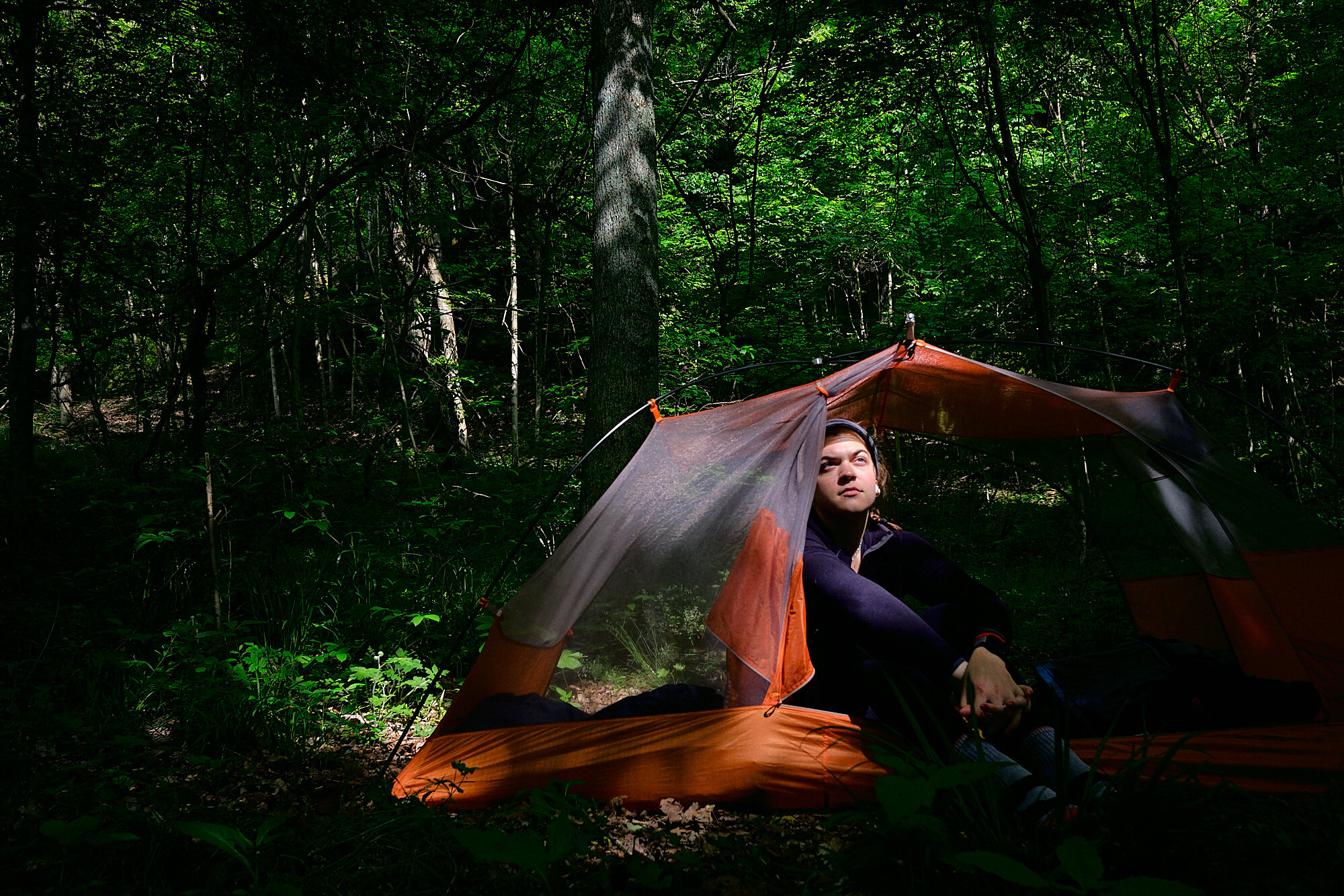  From the comfort of her new tent, Hannah takes a gander at the jungle that is Southseat Ohio. | 5/16/20 Athens, OH 
