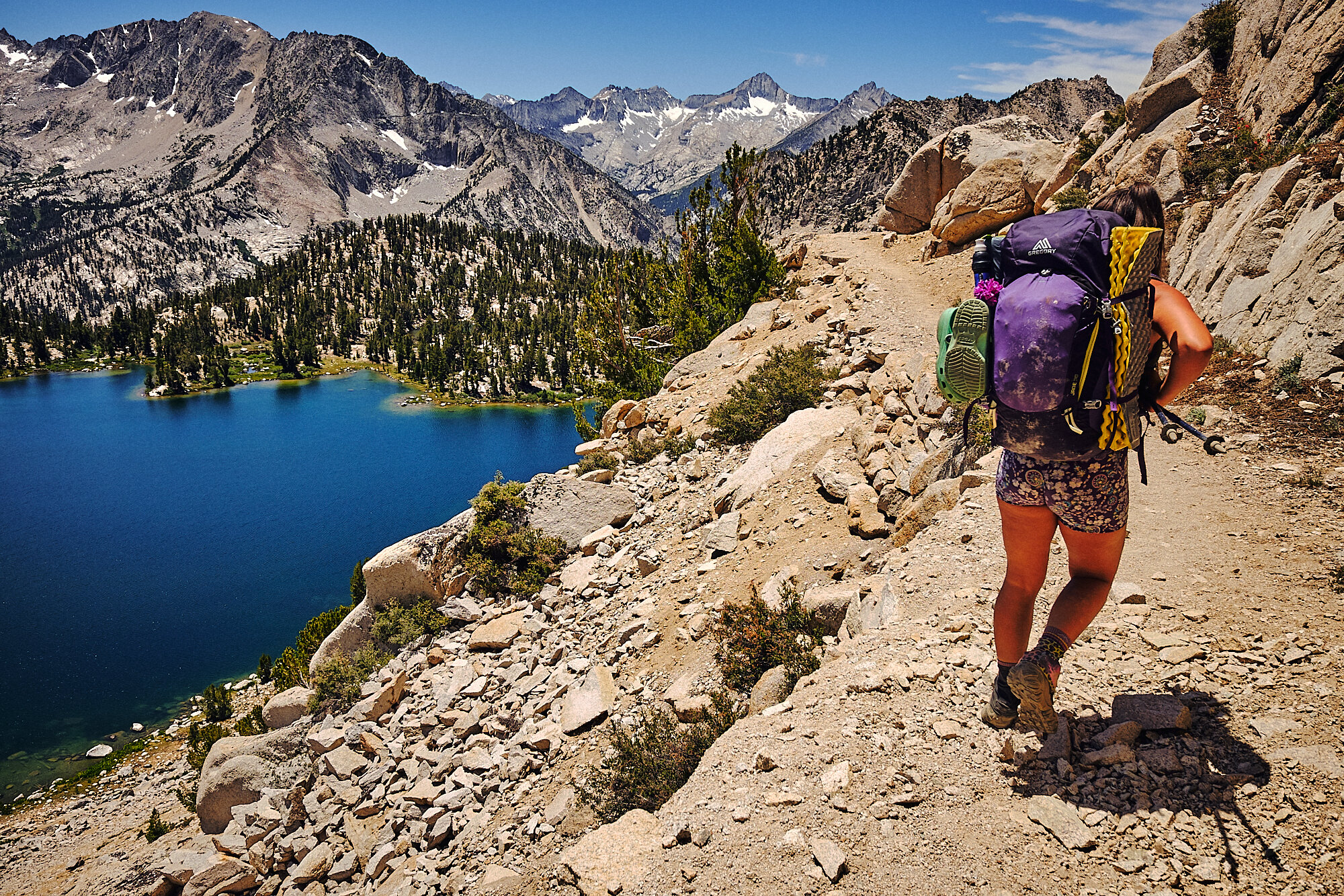  Flower hikes down from Kearsarge Pass to join the Pacific Crest Trail. | 7/10/20 Independence, CA 