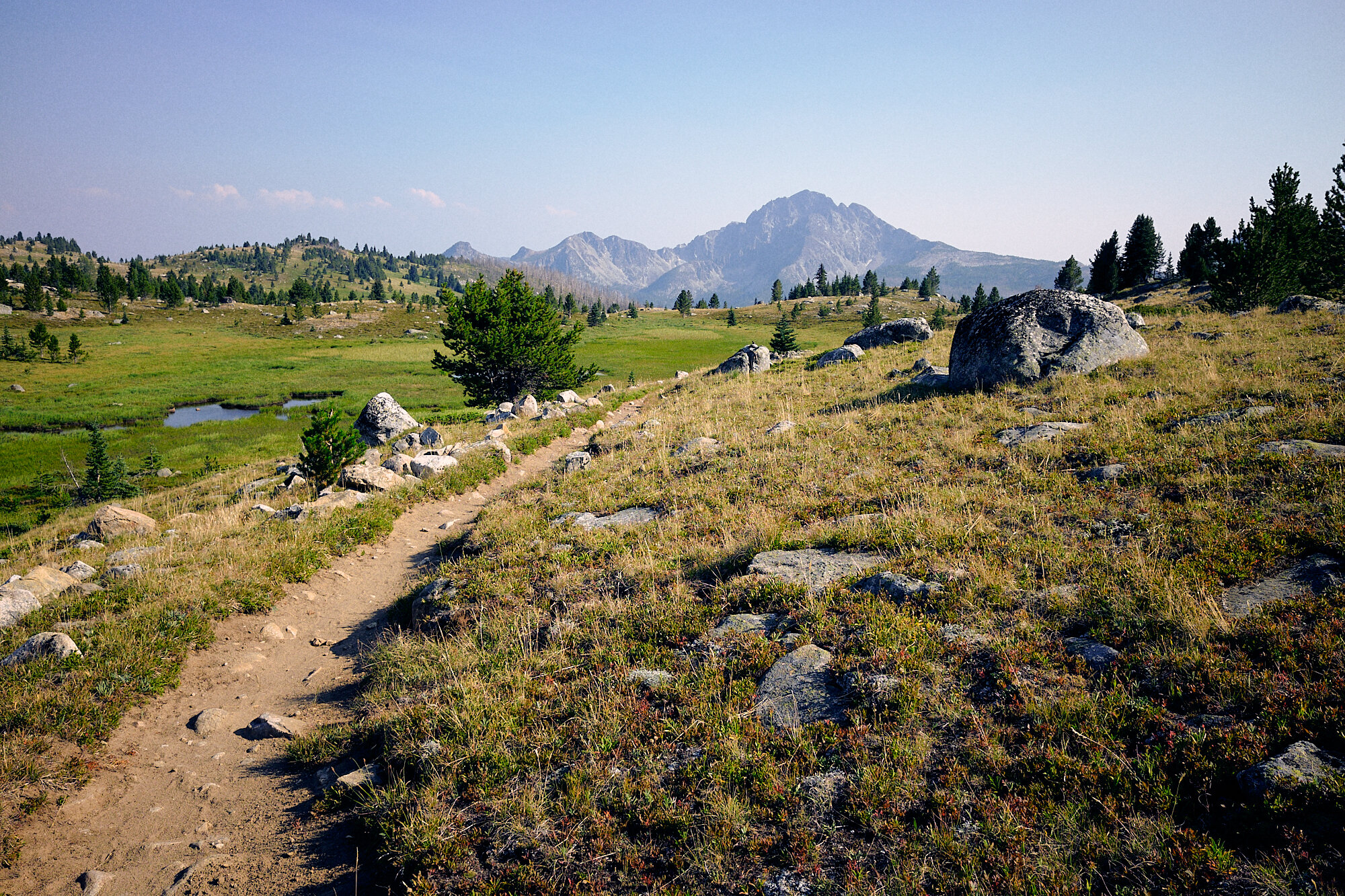  Boundary Trail 533 was the primary route through the Pasayten on the PNT. It was unrelenting with its alpine meadows and crumbly peaks, and better yet, it was nearly smoke free! | 8/2/21 Mile 658.6 6,650' Pasayten Wilderness, Washington 