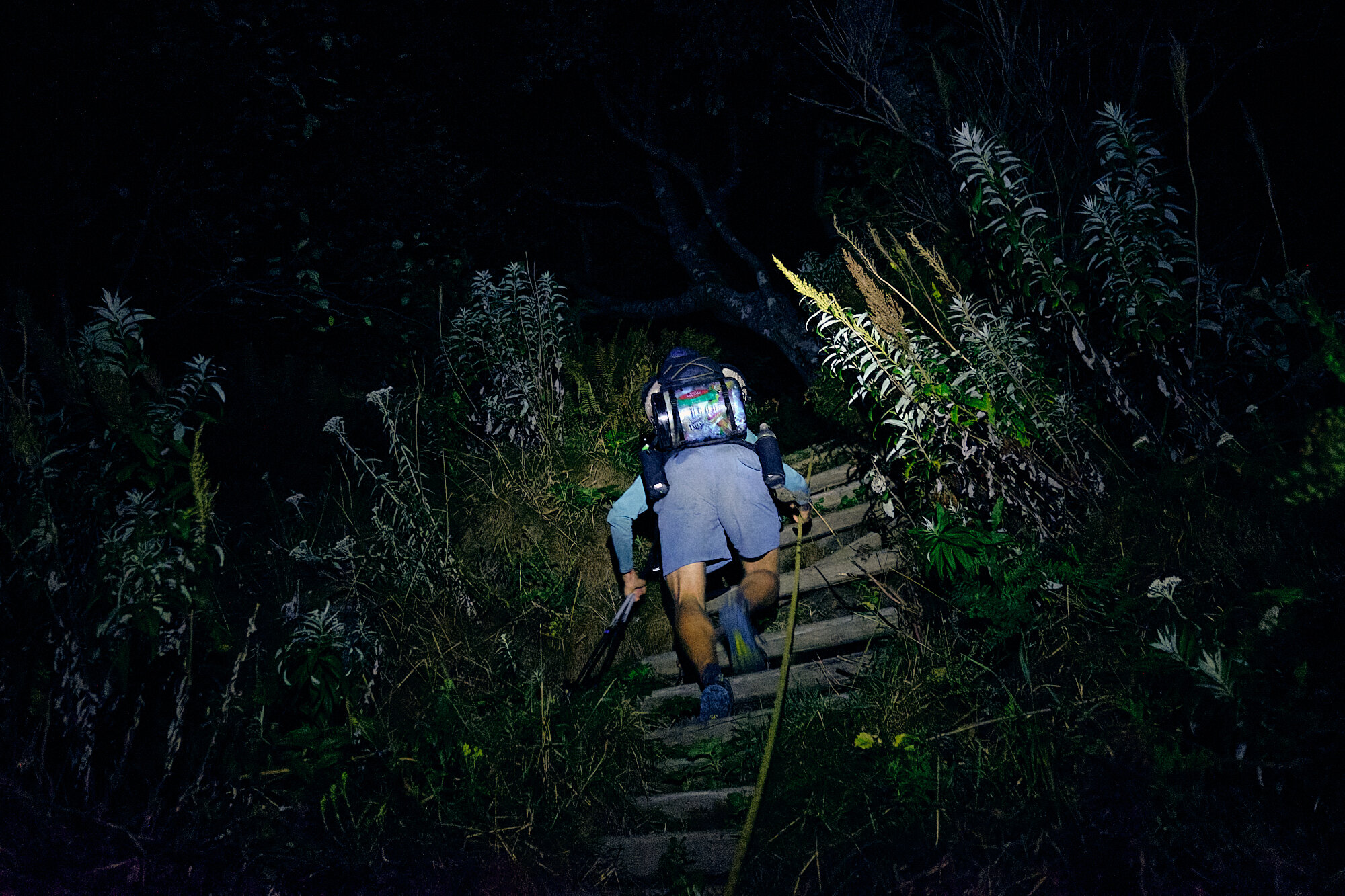  Hog Mamma climbs a rope step ladder up to camp after a midnight tidal crossing. | Mile 1,208.0 157' Olympic Coast, Washington 