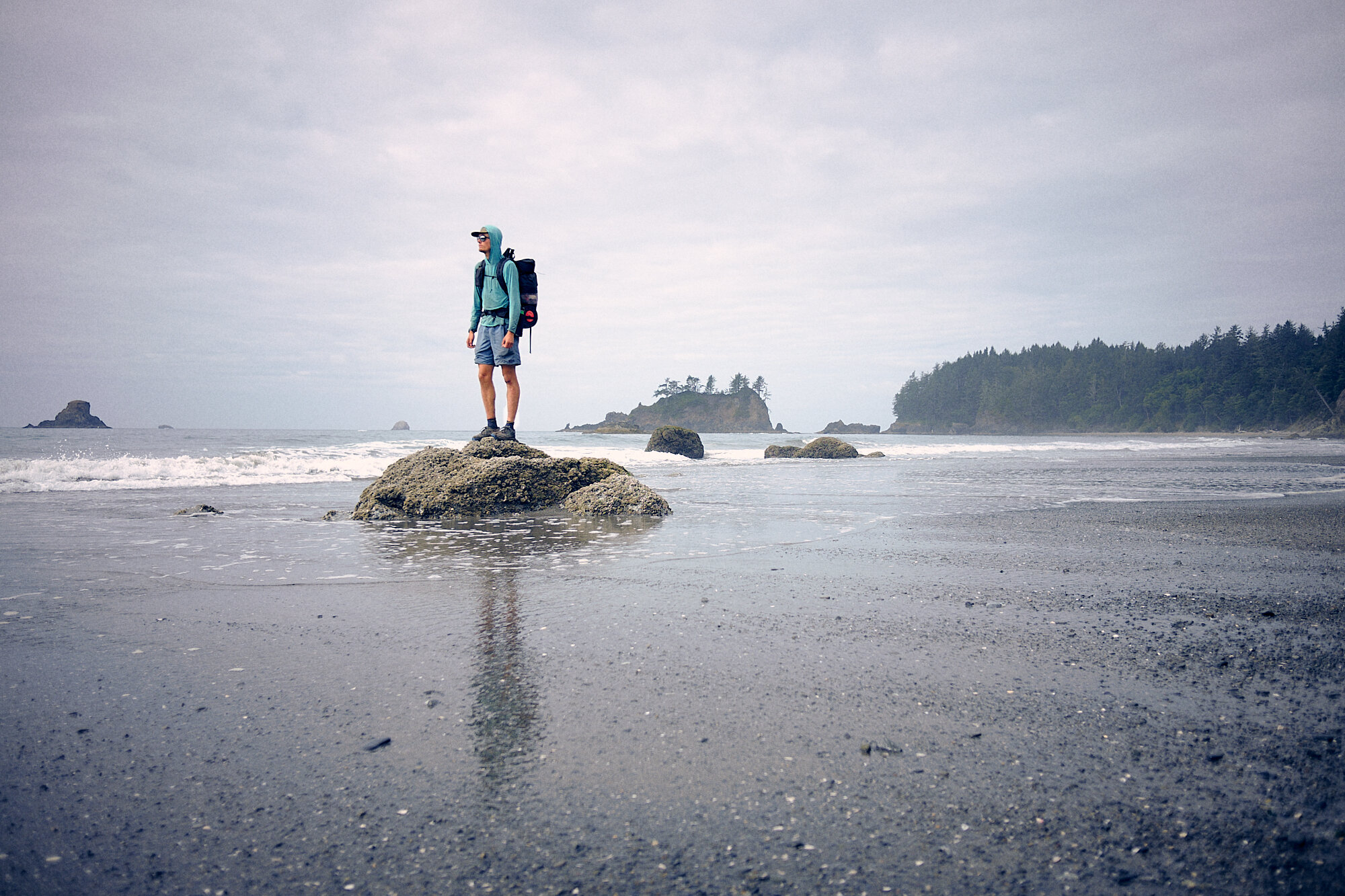  Hog Mamma, temporarily marooned by the incoming tide. | 8/31/21 Mile 1,213.2 0' Olympic Coast, Washington 