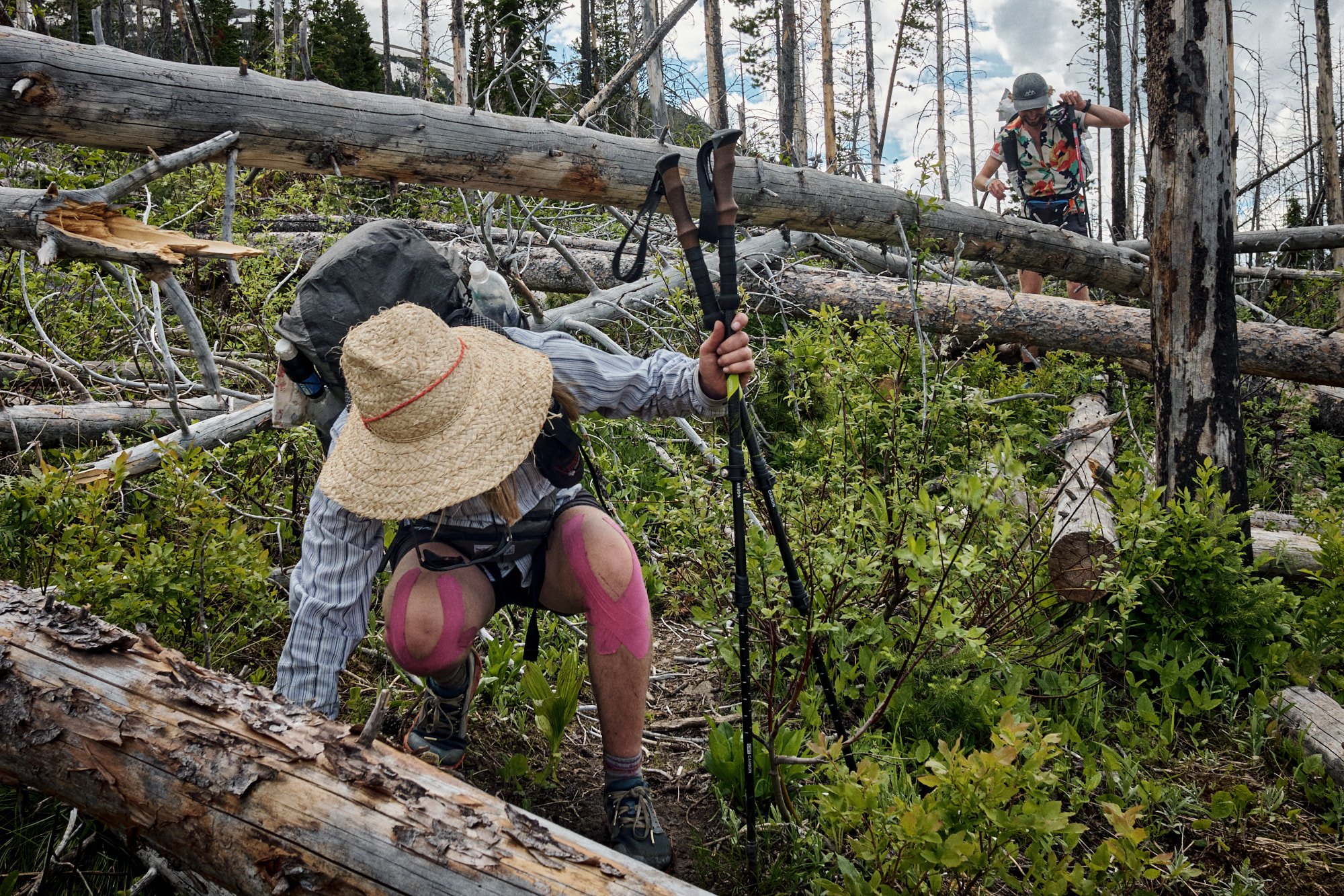 Noisy and Dig scramble through the jungle gym of blowdowns that plague The Bob. | Bob Marshall Wilderness, MT 6/30/22 Day 9