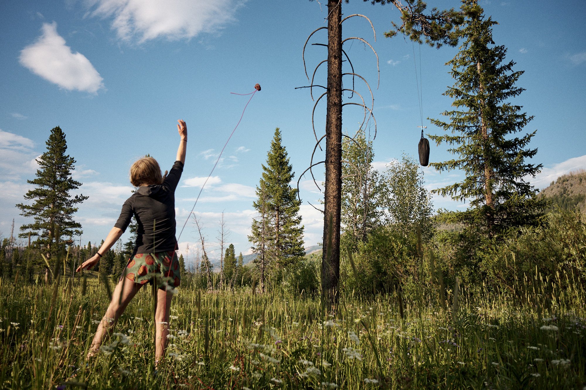 Noisy relentlessly tries to hook a branch for her bear hang. | Teton National Park, WY 8/4/22 Day 44