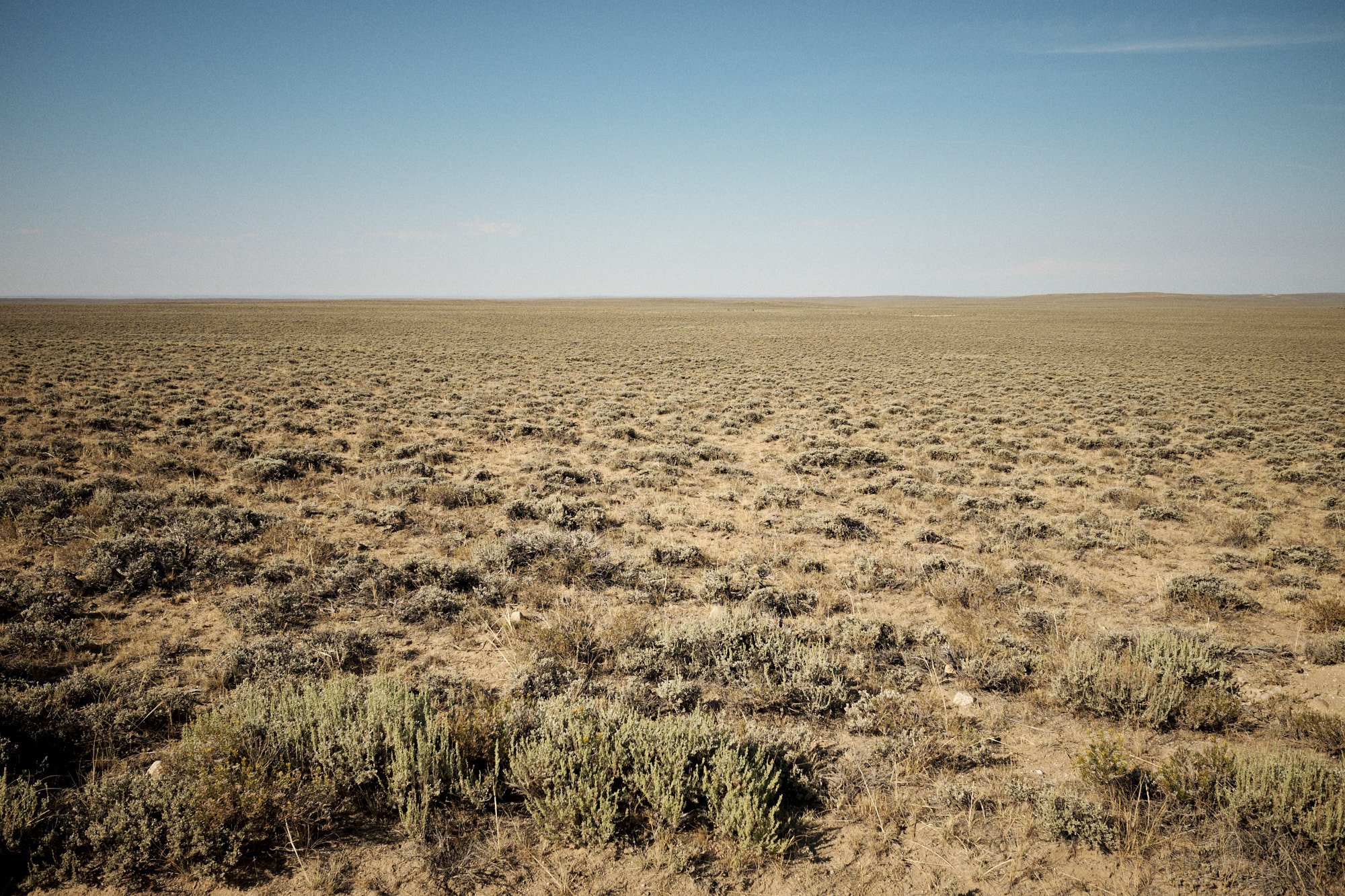  The Great Divide Basin: flat, sagebrush, and antelope. That's pretty much it for 130 miles. It's lovely from about 6:00-6:45 in the morning before becoming hot, dry and boring until sunset. Then it's just dry and boring. | Great Divide Basin, WY 8/2